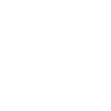 Metamask icon